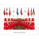 Makam Bayrak ve Direkleri