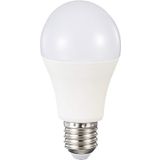 Makel 6500K Cold White 10W Led Ampul