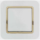Makel Gold Lillium Anahtar