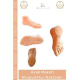 #Maketayak Profesyonel Medikal Plastik Anatomik Refleksoloji 20Cm Ayak Maketi Akupunktur Noktası
