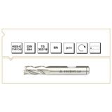Makina Takım B00276181900 Kısa 19 mm 1 Adet Hss-E %8 Co Dın 844 Bn Parmak Freze Ucu