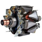 Mako Almparca Alternatör Rotoru Palio