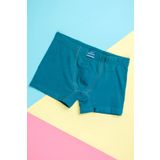 Malabadi 074 Mavi Erkek Penye Boxer