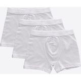 Malabadi Erkek Çocuk Beyaz 3 lü Pamuk Elastan Boxer 3M208 - 6 Yaş