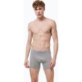 Malabadi Erkek Gri Premium Collection Modal Uzun Boxer 250 - 2XL