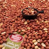 Malatya Pazarı Palancı Tuzsuz Yer Fıstık Vıp 250 gr