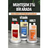 Malatya Yem 3lü Set Kuşlar Için Farmatom Vitamin Alfamin Ishal Neftor Hırıltı Seti ( 500 Ml)