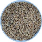 Malatya Yem Elenmiş Buğday-Tavuk-Güvercin-Horoz Yemi-10Kg