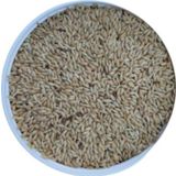 Malatya Yem Sade Kanarya Yemi-Aspur-20Kg