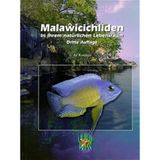 Malawicichliden in ihrem natürlichen Lebensraum