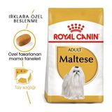 Maltese Yetişkin Kuru Köpek Maması 1.5Kg