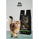 Mamator Cattor Tavuk Etli Açık Yavru Kedi Maması 1 Kg