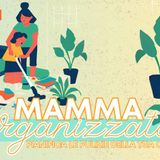 MAMMA ORGANIZZATA Pianifica le PULIZIE della Tua CASA: Agenda Precompilata di 53 SETTIMANE per l'ORGANIZZAZIONE della CASA con Lista della SPESA, delle PULIZE da fare e Decluttering