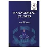 Management Studies İlksun Didem Ülbeği