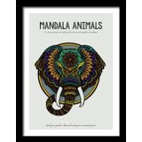 Mandala dieren: een kleurboek voor volwassenen met de mooiste mandala’s.: Pak je potloden, ontspan en creëer je eigen meesterwerk!