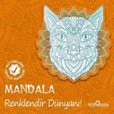 Mandala - Renklendir Dünyanı!: Büyüklere Boyama Kitabı