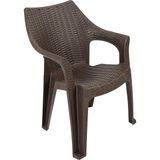 Mandella Polo Rattan Koltuk (6 adet) KAHVERENGİ - Kahverengi