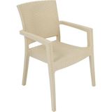 Mandella Zeus Rattan Koltuk (4 Adet) Çölbeji - Çok Renkli
