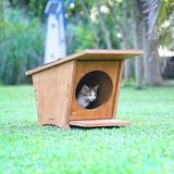 Mandu Ahşap Mini Kedi Evi (Yeni Doğan Evi) - Ahşap Rengi