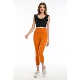 Mango Pulsar Kapri Canopus Tayt