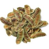 Manisa Birlik Açlık Otu Bitkisi x 250 Gr