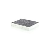 Mann Filter Ford Kuga 2020-2023 Karbonlu Polen Filtresi