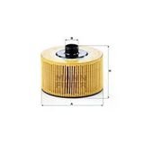 Mann HU10002Z HU10002Z Yağ Filtresi (Renault :clıo 1.2 Tce 13- /megane Iv 1.2 Tce 1.3 Tce 15-)