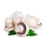 Mantar Izgrara 1 Kg