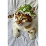 Mantar Yeşil Bucket Şapka Örgü Kedi Köpek Şapkası Evcil Hayvan Şapkası Pet Aksesuarları