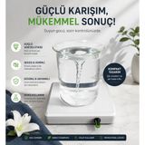 Manyetik Karıştırıcı + Balık