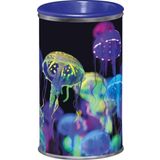 Maped Kalemtıraş Deepsea Paradıse Tek Delik Display 046023 (18 Li Paket)