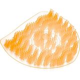 Maproworld Mango Kokulu Pisuvar Süzgeci - Pisuvar, Lavabo Ve Yer Giderlerinde Kullanılır – İleri İğne Teknolojisi (5'li)