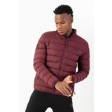 MARATON Regular Erkek Dik Yaka Bordo- Mont