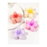 Marchen Collection Kadın Lotus Mandal Toka 4 ' lü Set Büyük Boy