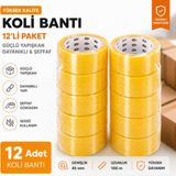 Mardel Store M-S Koli Bandı 45X100 Şeffaf Güçlü Yapışkan Akrilik 12 Adet