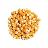Mare Çiftliği 500 gr Cin Mısır