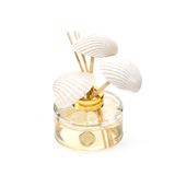 Marin 150 ml İstiridye Kabuğu Seramik Taş Bambu Çubuklu Aqua Mediterrean Oda Kokusu