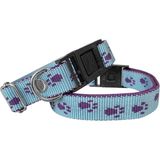 Markapet 2 cm Min:30 Max:50 cm Patili Dokuma Açık Mavi Köpek Tasması