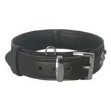 Markapet Deri Parlak Taşlı Köpek Boyun Tasması 44-50 cm Medium Siyah