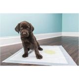 Markapet Köpek Tuvalet Çiş Eğitim Pedi 60X90 cm ( 10 Adet ) - Çok Renkli