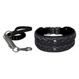 Markapet XL 7 cm*60-68 cm Siyah Elegance Deri İşlemeli Lüks Köpek Tasma Seti