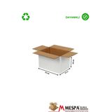 Markasız ucuz 15 x 10 x 10 ölçülü BC dalga 20 li taşıma ve saklama kolisi