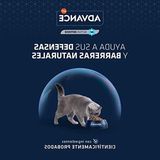 MarkEntegra 1.5 kg Yaşlı Kedi Maması, Kısırlaştırılmış Kediler Için Özel Formül