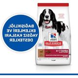 MarkEntegra 2.5 kg Kuzulu Orta Irk Yetişkin Köpek Maması, Enerji Dolu