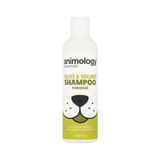 MarkEntegra Essentials Olive & Walnut Shampoo Köpek Şampuanı 250 Ml.