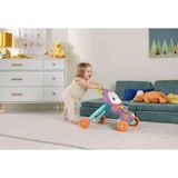 MarkEntegra Fisher-Price Benimle Öğren Tatlı Maymun Yürüteç ve Eğitici Oyuncak, JGW94