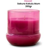 Marrien Hawai Vanilya Kokulu Mum 260 g Mor Şeffa