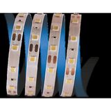 Marsilyan™- 1 Adet 5 Metre Cata Ct 4481 Iç Mekan 10 Çipli Şerit LED 12V 3200K Gün Işığı - Renkli - Standart