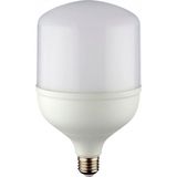 Marsilyan™- 1 Adet Noas YL95 6002 LED Torch Ampul 60W 3200K Gün Işığı E27 Duy - Renkli - Standart