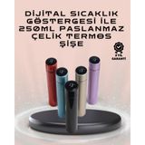 Marsilyan 250ML LED Ekranlı Paslanmaz Çelik Akıllı Termos - MCT4250-6954 - Çok Renkli